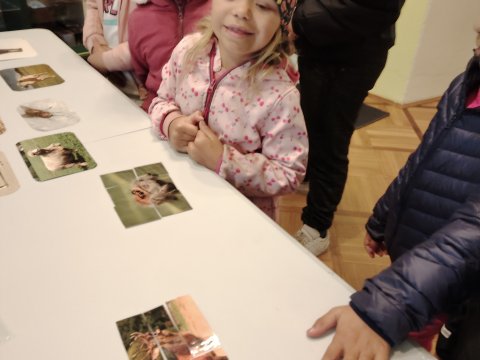 VLASTIVĚDNÉ MUZEUM-OSLAVY DNE ZVÍŘAT 2024 1.A