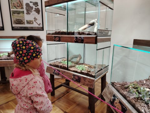VLASTIVĚDNÉ MUZEUM-OSLAVY DNE ZVÍŘAT 2024 1.A