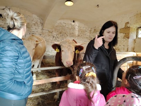 Ekocentrum Brniště Hospodářská zvířata 1.A