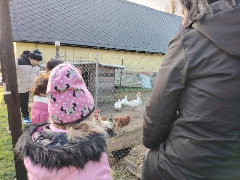 Ekocentrum Brniště Hospodářská zvířata 1.A