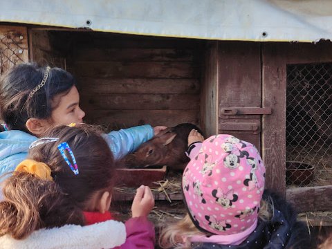 Ekocentrum Brniště Hospodářská zvířata 1.A