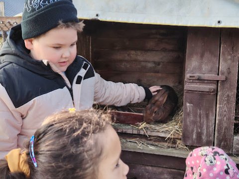 Ekocentrum Brniště Hospodářská zvířata 1.A