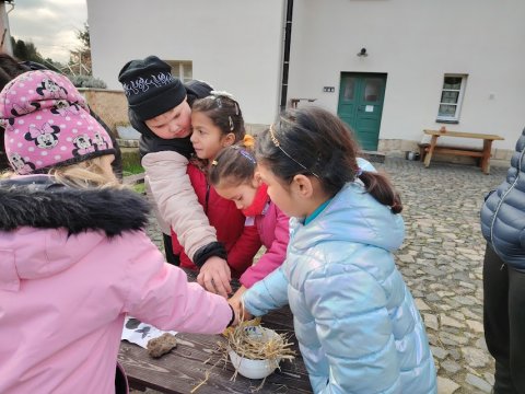 Ekocentrum Brniště Hospodářská zvířata 1.A