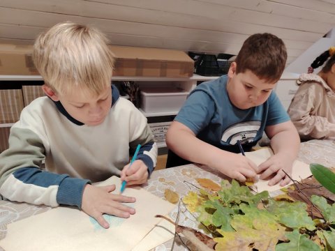 Vlastivědné muzeum - Stromy 1.A