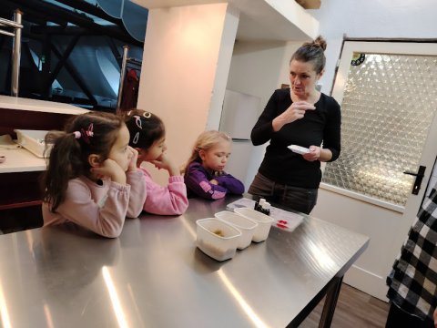 Kouzelné bylinky, Černý bez 1.A