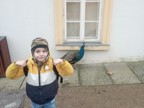 Vánoční Děčín 1.A, 2.A, 3.A