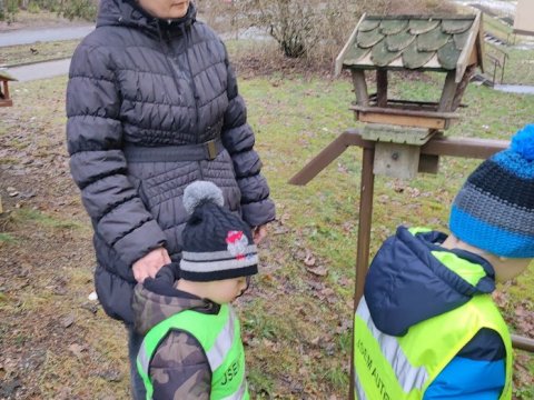Zvířátka v zimě - ptáčci
