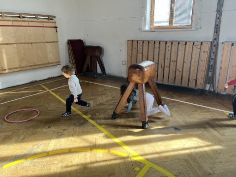 Tělocvična