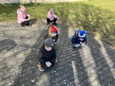 Jóga 06.03.2025