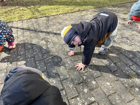 Jóga 06.03.2025