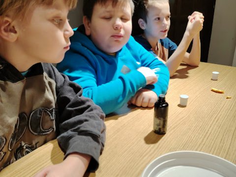 Vlastivědné muzeum 1.A