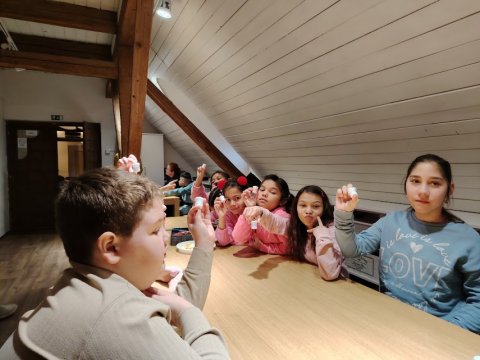 Vlastivědné muzeum 1.A