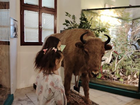 Vlastivědné muzeum 1.A