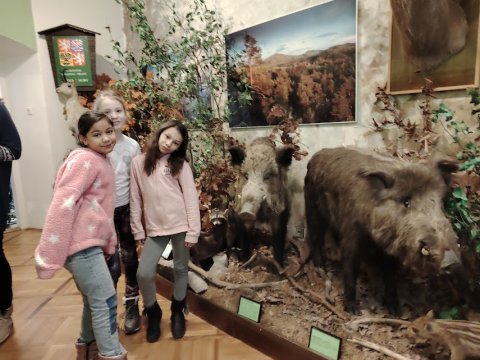 Vlastivědné muzeum 1.A