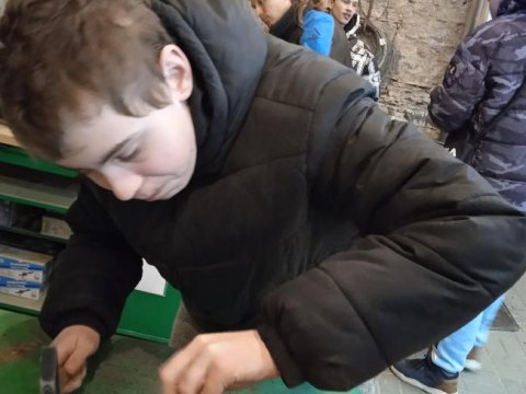 II.P Exkurze Brniště