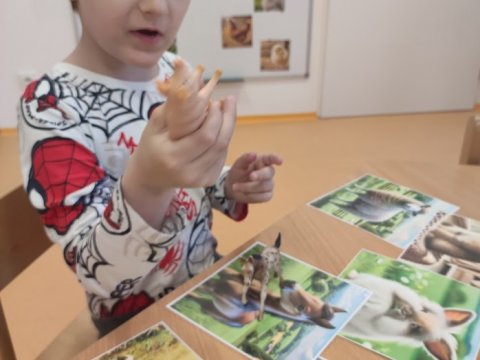 Zvířátka v pohádkách