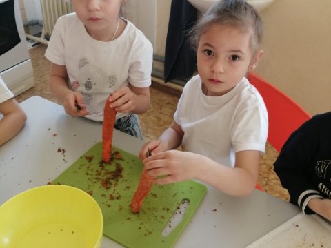 Den mrkve 04.04.2025