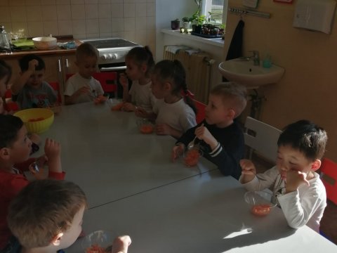 Den mrkve 04.04.2025