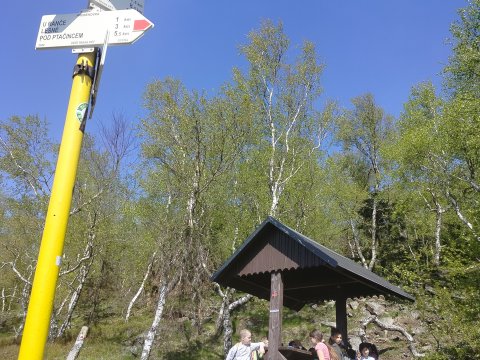 Jiřetín pod Jedlovou 2.A, 4.A, 5.A, 5.B