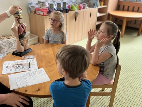 Zdravotní soutěž MŠ Bratří Čapků 22.05.2025