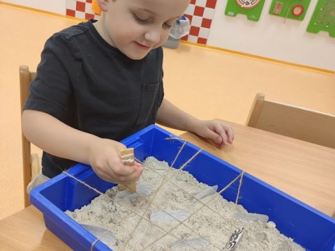Růžový den