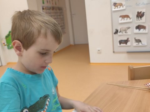 Den se zvířátky ze zoo