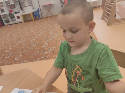 Den se zvířátky ze zoo