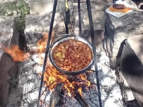 II.P Exkurze Andělský svět
