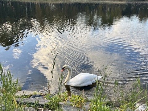 Projektový den Žiznikov