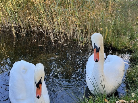 Projektový den Žiznikov