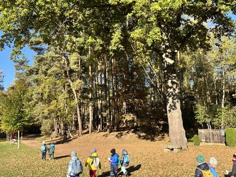 Projektový den Žiznikov