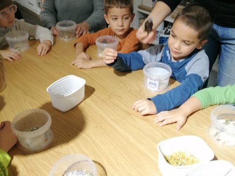 Výroba v soli v muzeu 06.11.2025