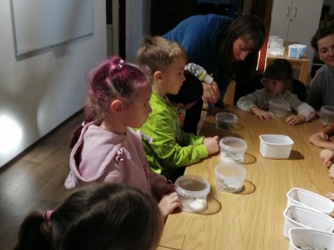 Výroba v soli v muzeu 06.11.2025