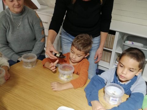 Výroba v soli v muzeu 06.11.2025