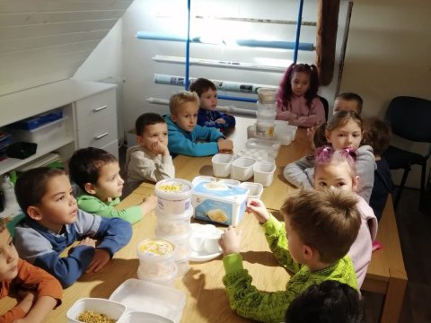 Výroba v soli v muzeu 06.11.2025