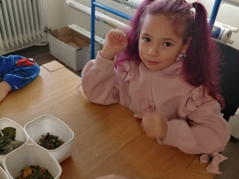 Výroba v soli v muzeu 06.11.2025