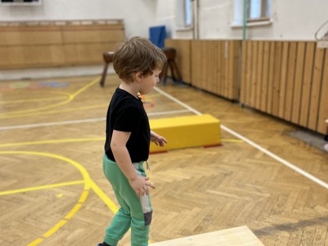 Tělocvična 11.11.2025