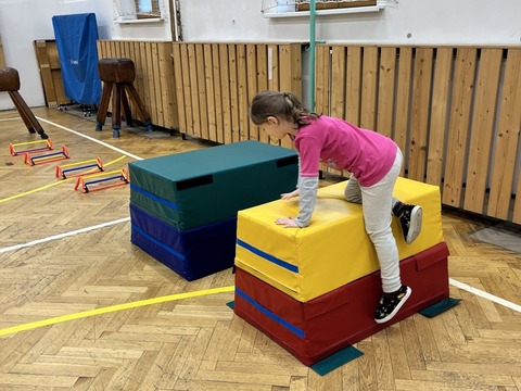 Tělocvična 11.11.2025