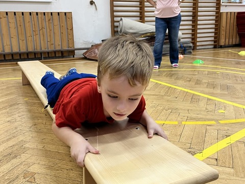 Tělocvična 11.11.2025