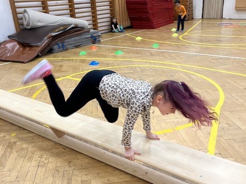 Tělocvična 11.11.2025