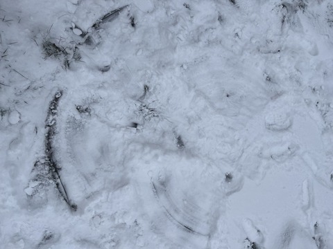 Letošní první sníh 24.11.2025