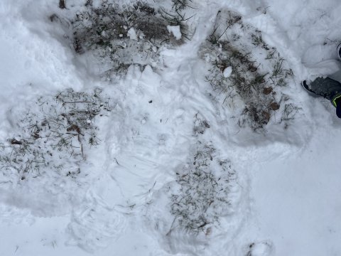 Letošní první sníh 24.11.2025