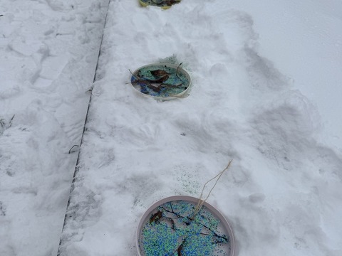 Ledové ozdoby 13.01.2026