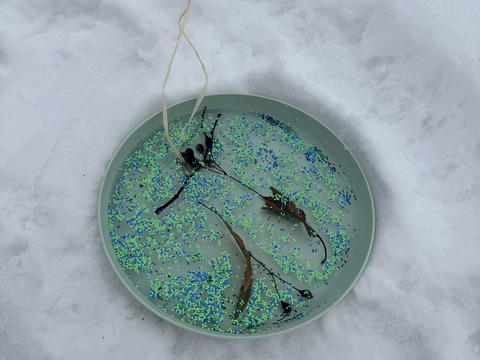 Ledové ozdoby 13.01.2026