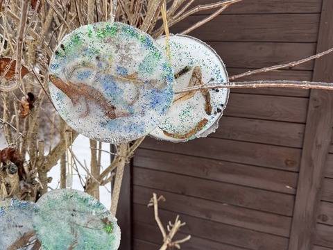 Ledové ozdoby 13.01.2026