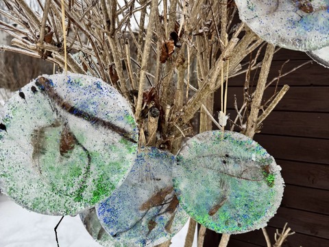 Ledové ozdoby 13.01.2026