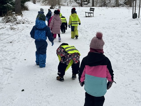 Projektový den - Zvířátka v zimě 03.02.2026