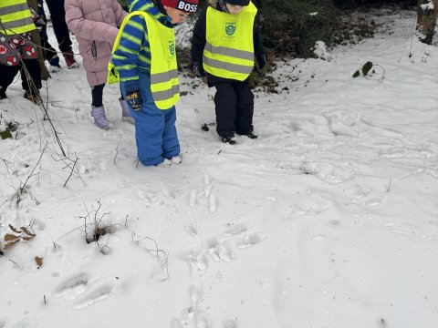 Projektový den - Zvířátka v zimě 03.02.2026