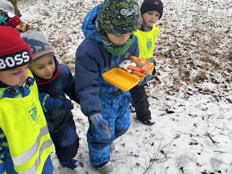 Projektový den - Zvířátka v zimě 03.02.2026