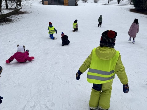 Projektový den - Zvířátka v zimě 03.02.2026